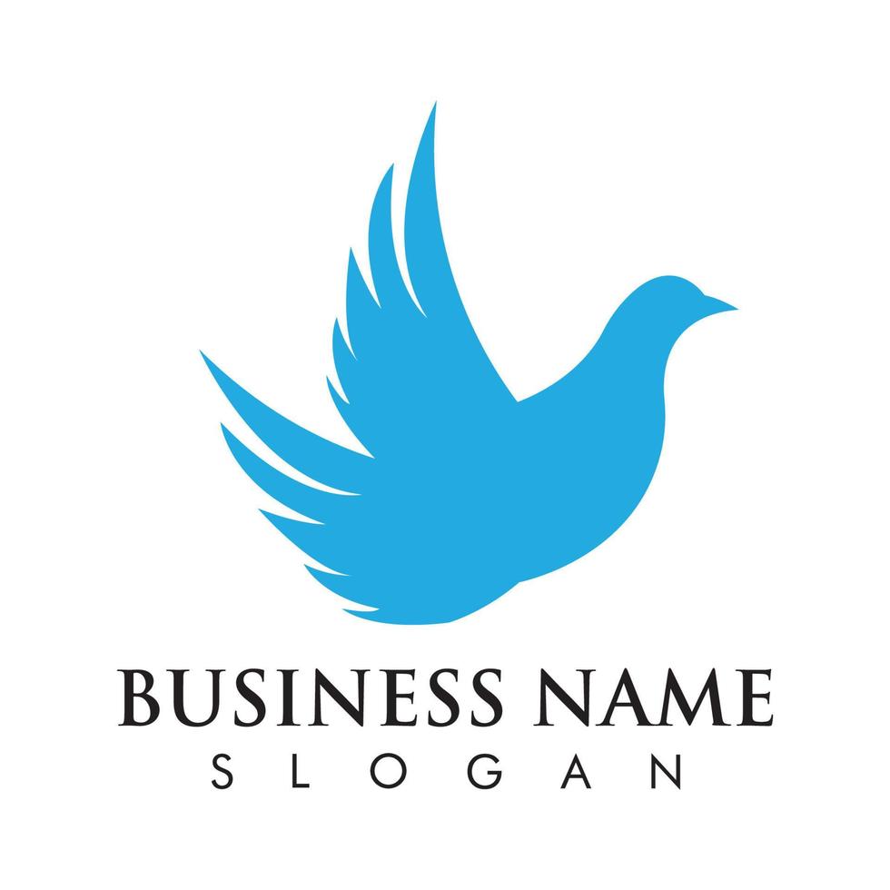 vogel duif logo sjabloon vector