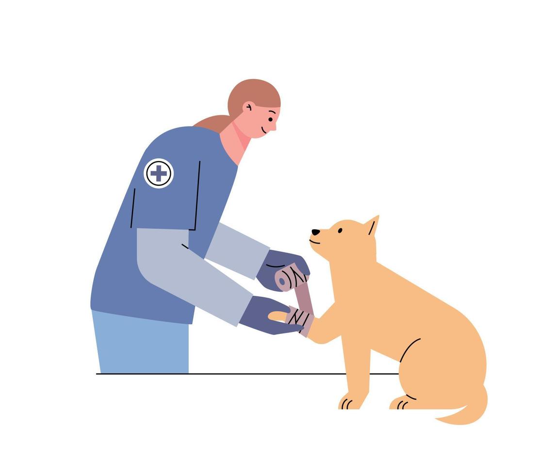 een dierenarts verbanden een gewond honden been. vlak vector illustratie.