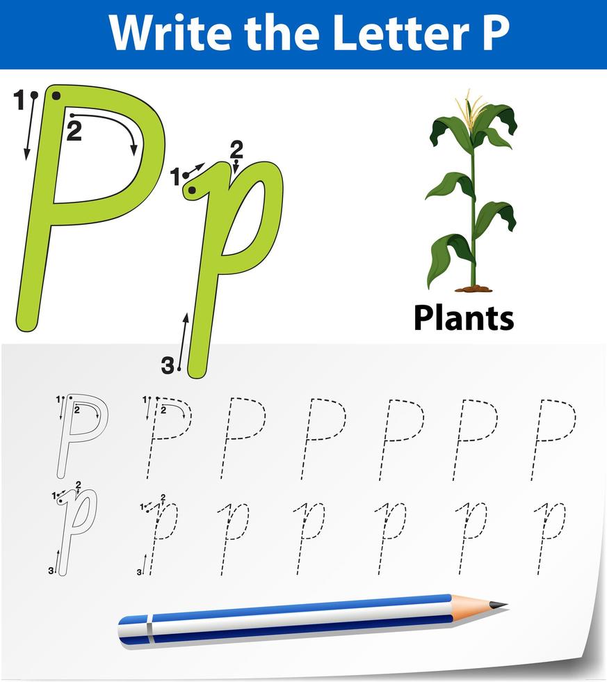 letter p tracing alfabet werkblad met plant vector