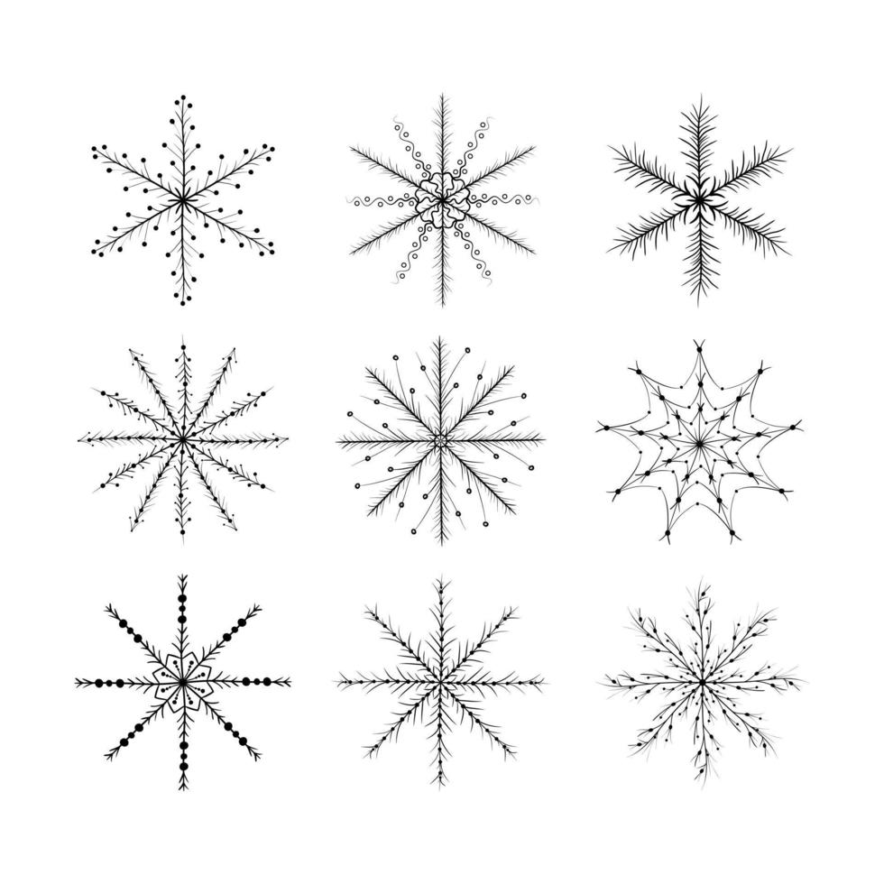 reeks van divers hand- getrokken sneeuwvlokken. naald- ornament in de vorm van sneeuwvlok. geïsoleerd zwart Aan wit achtergrond vector