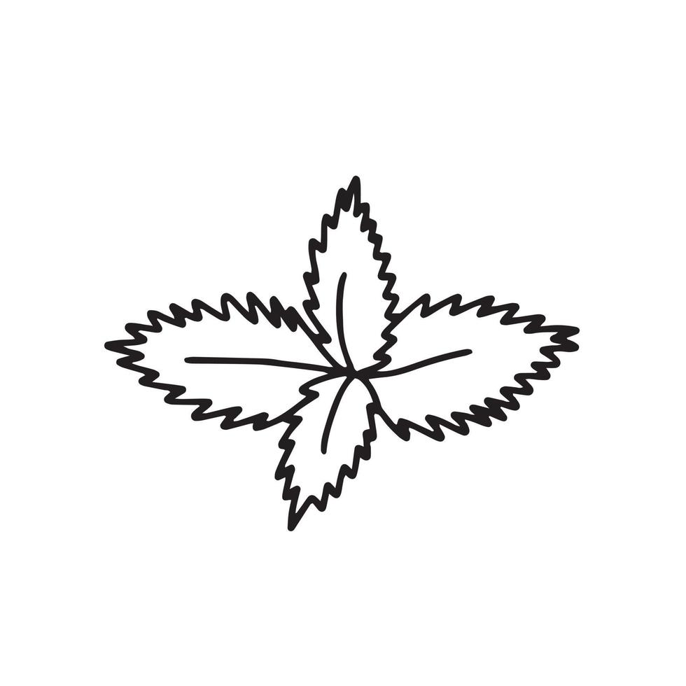 munt of pepermunt vector tekening bladeren