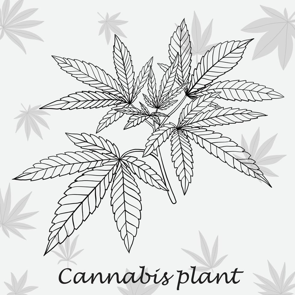 eenvoud cannabisplant uit de vrije hand tekenen plat ontwerp. vector