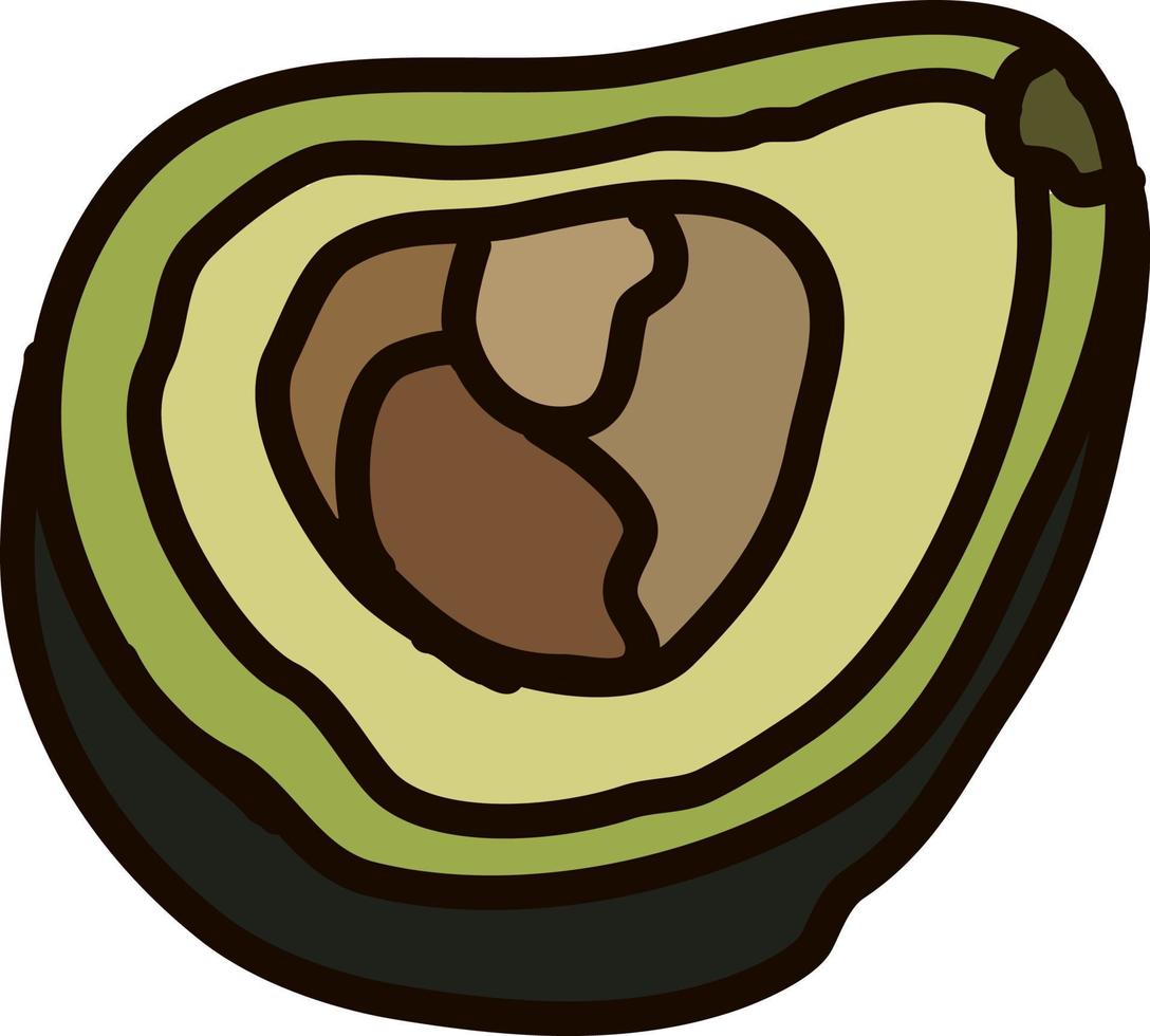 avocado vlak, illustratie, vector Aan wit achtergrond.