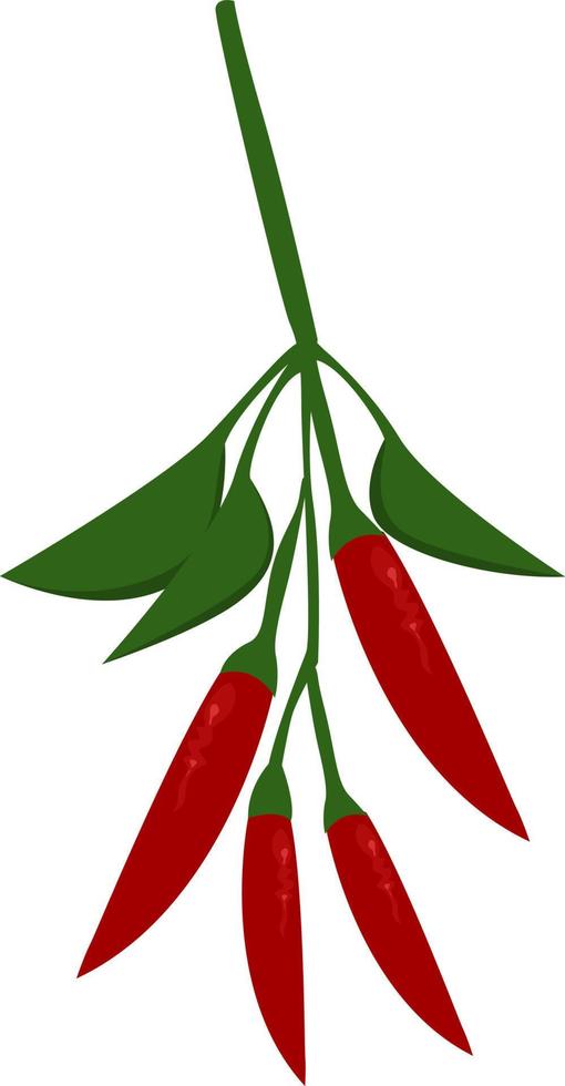 chili pepers, illustratie, vector Aan wit achtergrond.