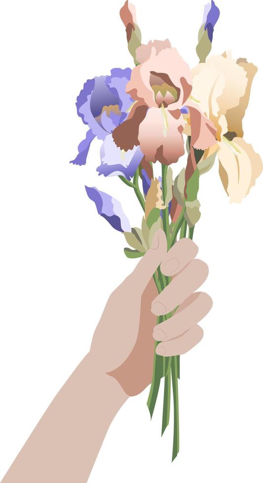 kant visie hand- Holding een bundel van iris bloemen, geïsoleerd Aan wit achtergrond vector