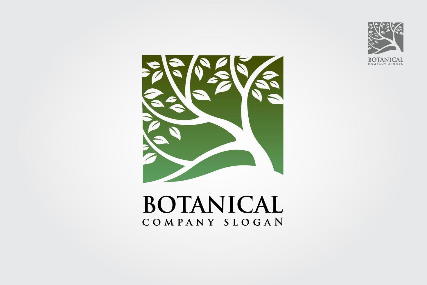 botanisch vector logo illustratie. groen boom logo sjabloon. schoon en modern stijl Aan wit achtergrond. de groen boom plein vector logo ontwerp