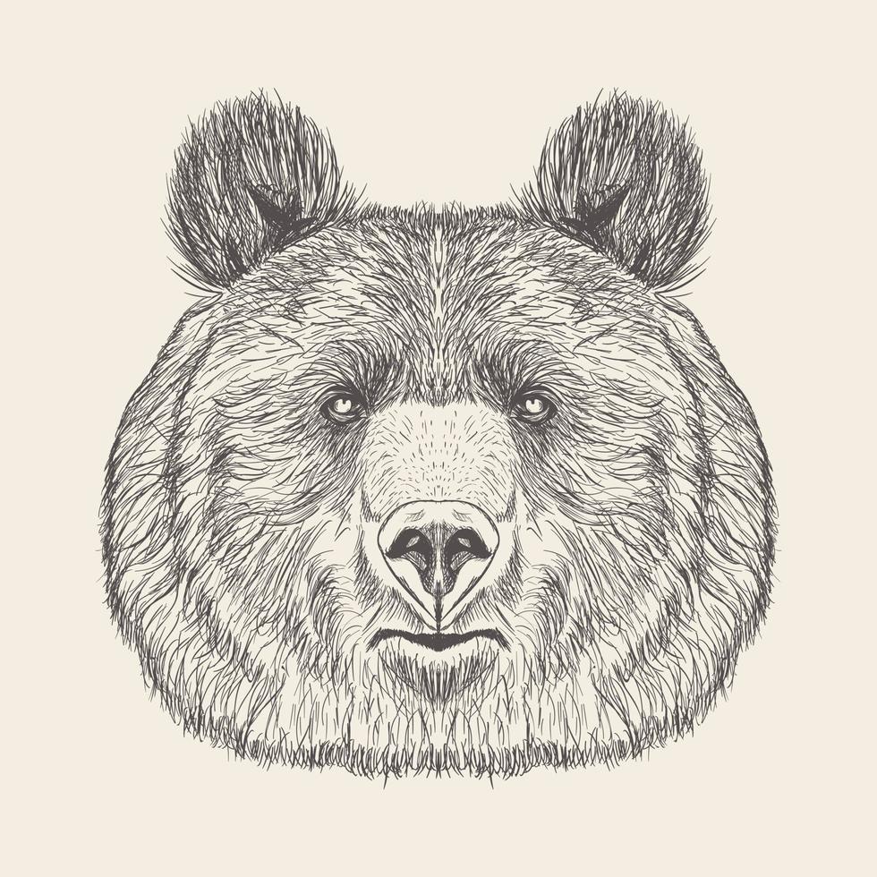 modieus beer hoofd vector