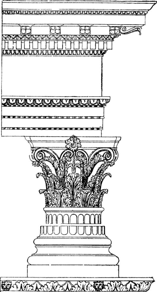 Corinthian bestellen, wijnoogst illustratie vector