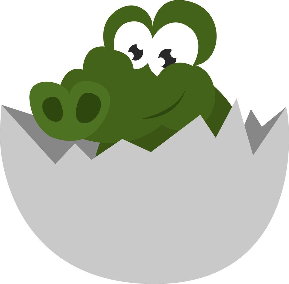 krokodil in de ei ,illustratie,vector Aan wit achtergrond vector
