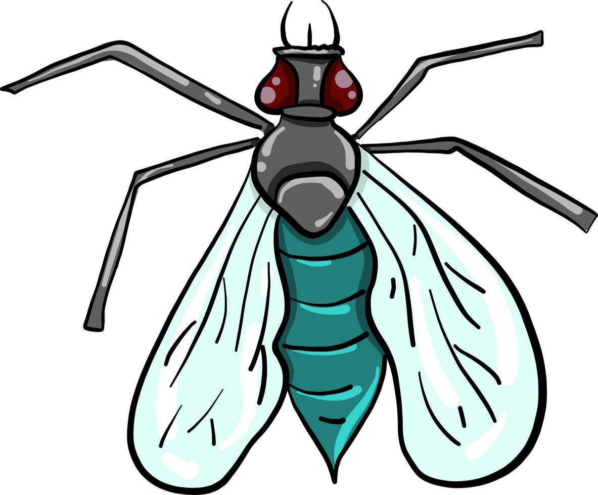 vlieg insect , illustratie, vector Aan wit achtergrond