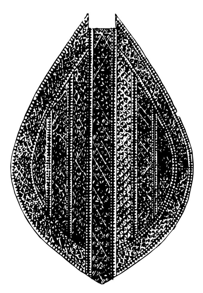 Maori peddelen zijn hout snijwerk, wijnoogst gravure. vector