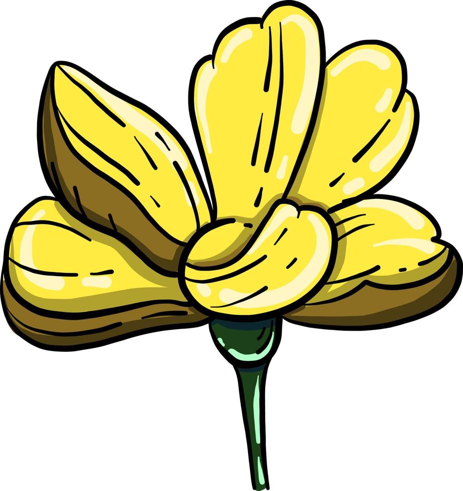 geel bloem, illustratie, vector Aan wit achtergrond