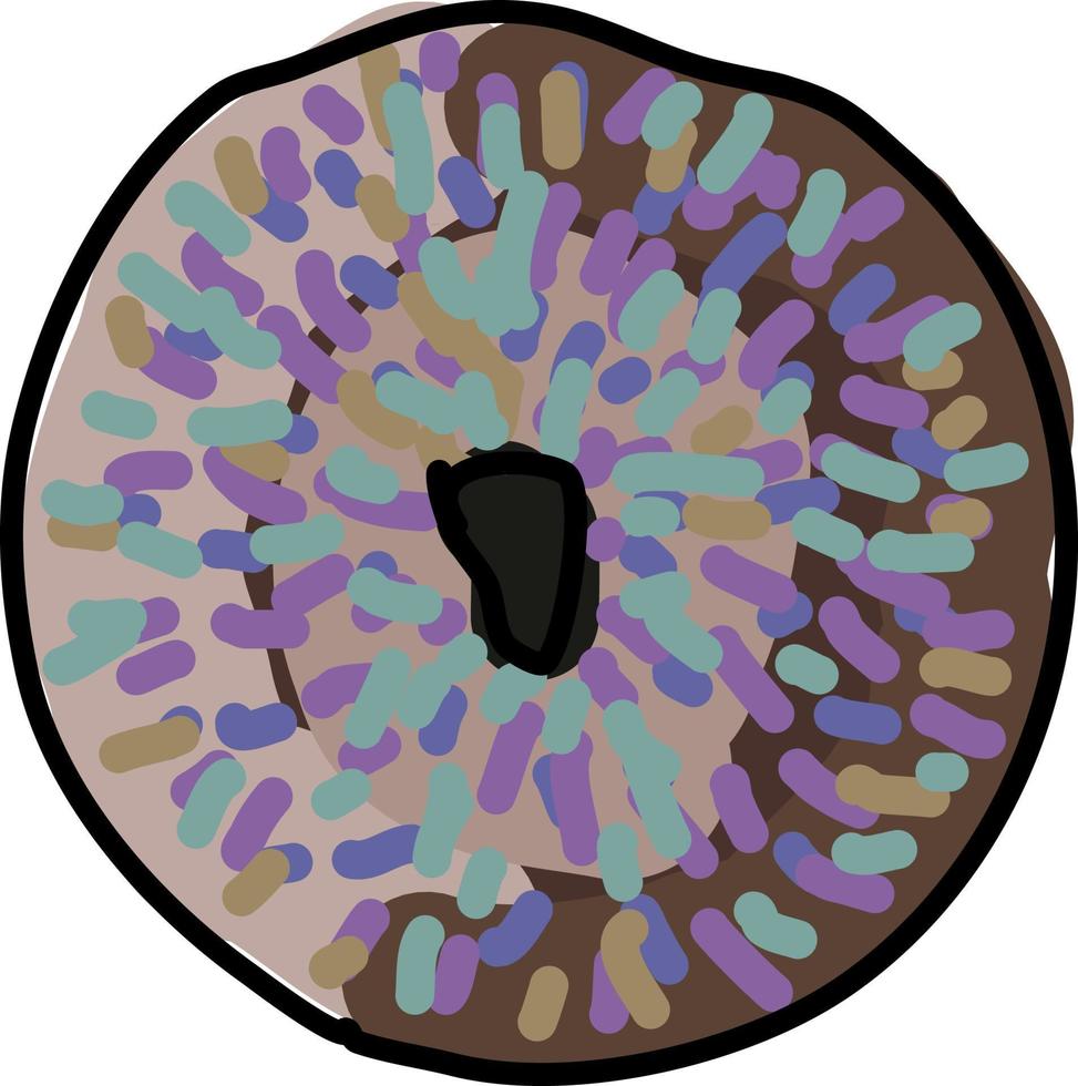 donut, illustratie, vector Aan wit achtergrond.