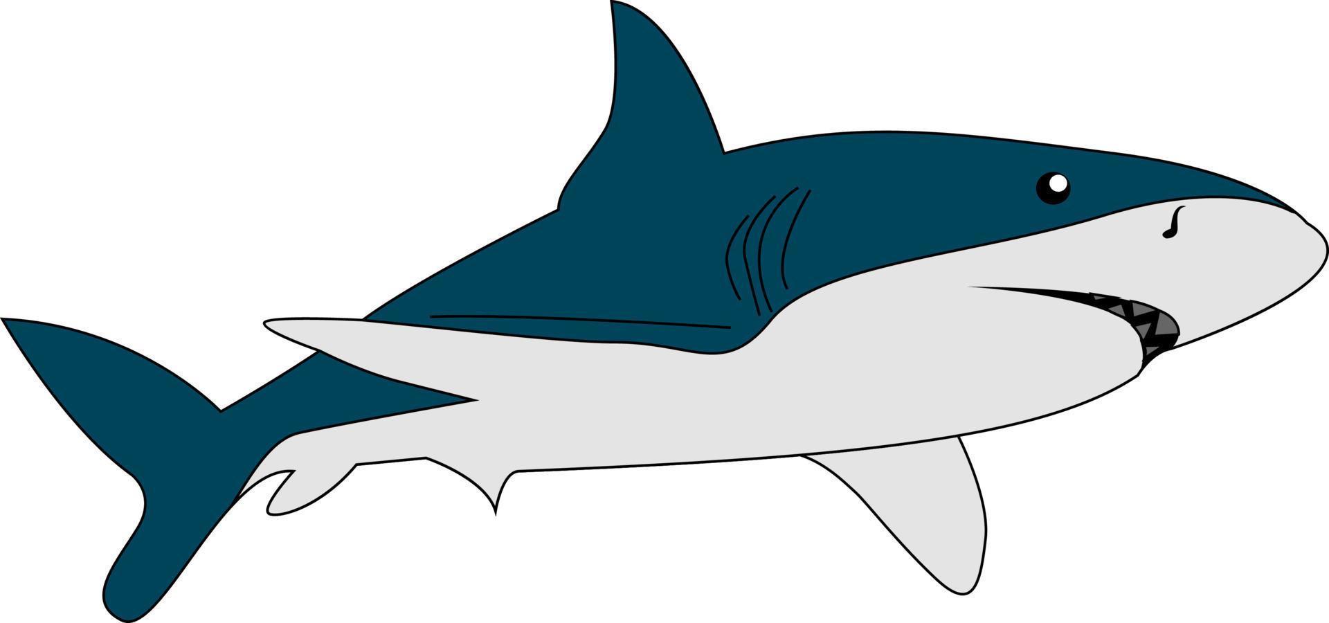 Gevaar haai, illustratie, vector Aan wit achtergrond.