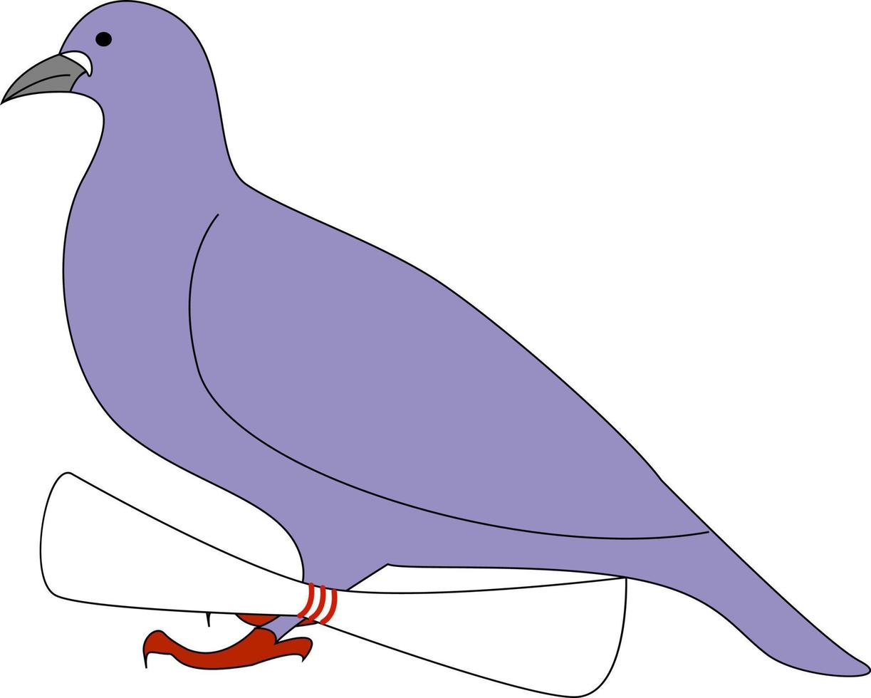 Purper duif, illustratie, vector Aan wit achtergrond.