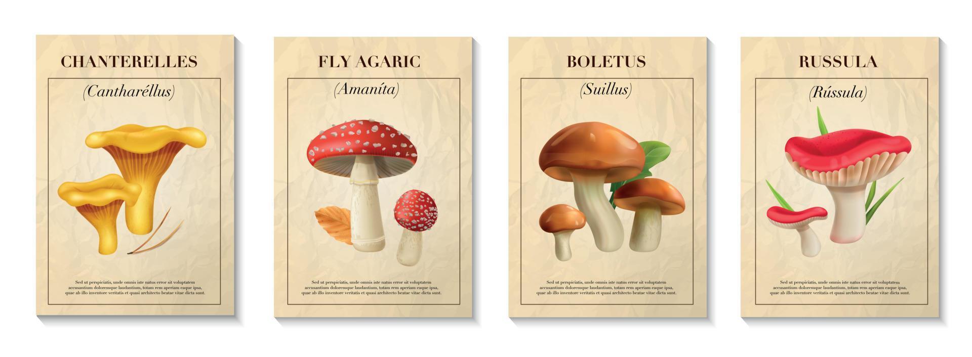 champignons realistisch poster reeks vector