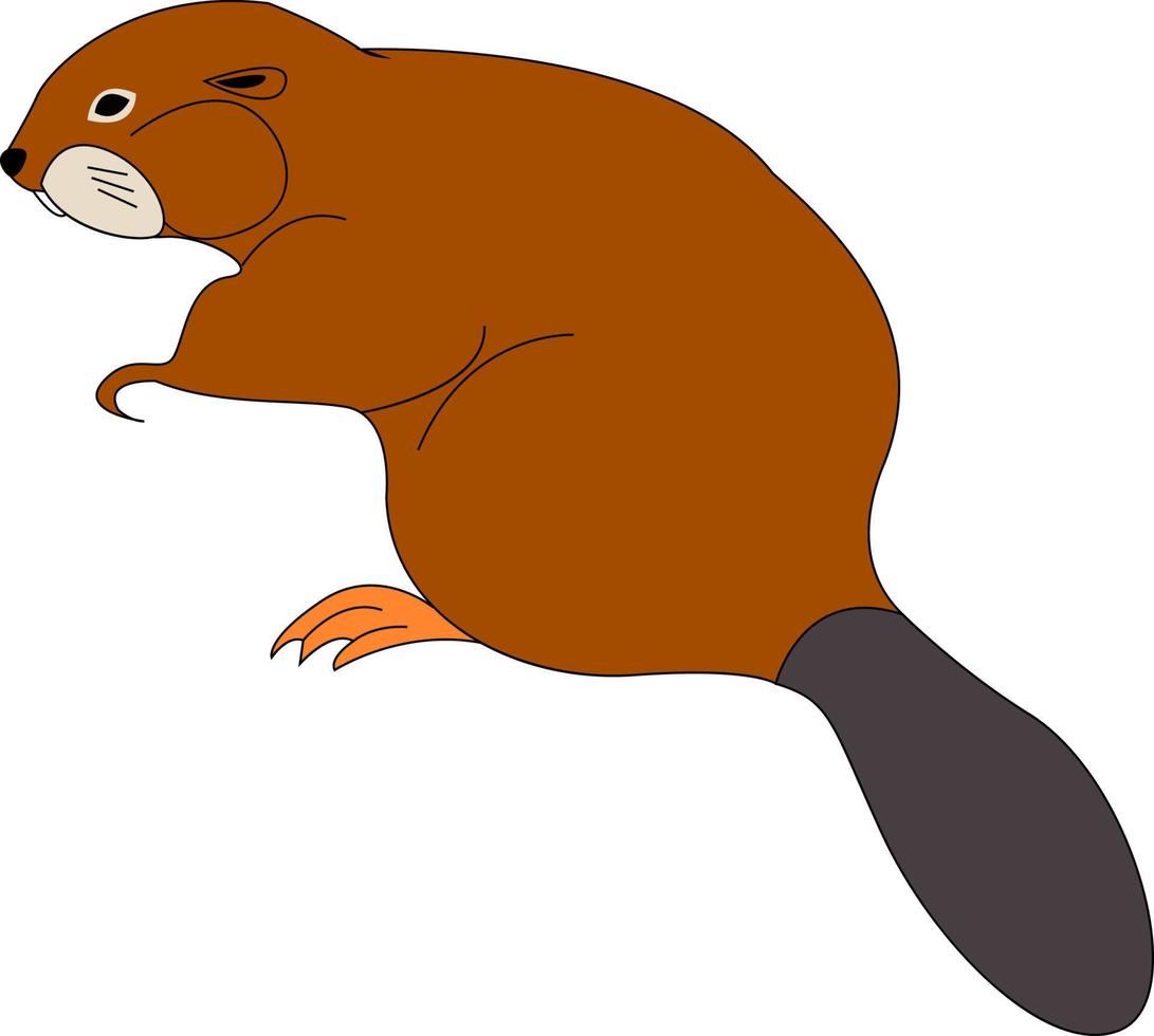 bruin bever, illustratie, vector Aan wit achtergrond.