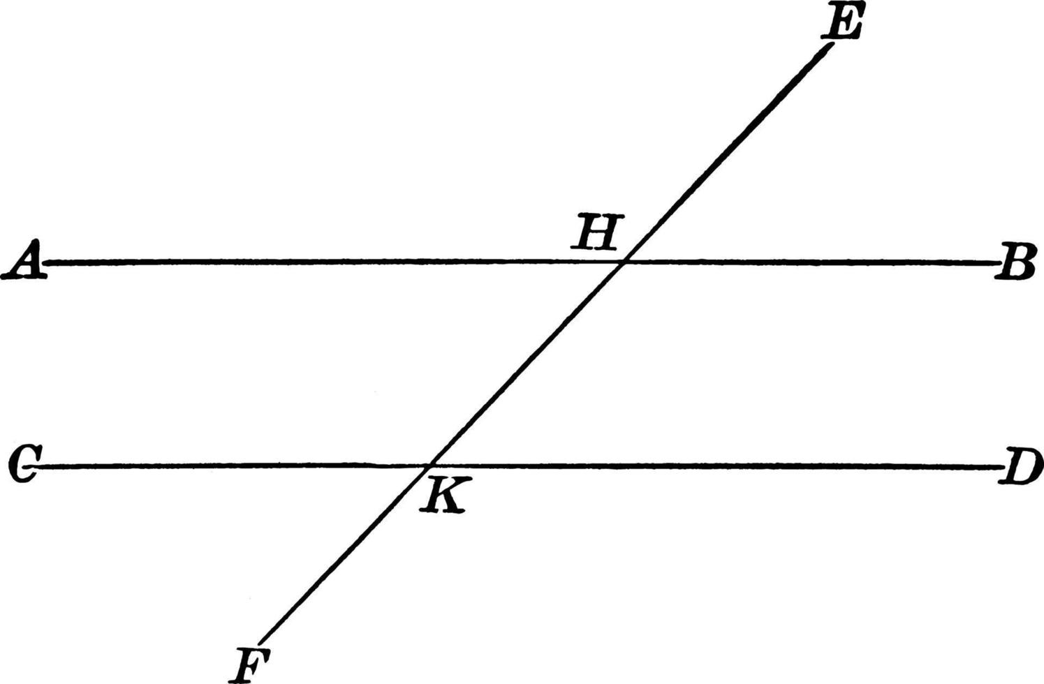 twee parallel lijnen, wijnoogst illustratie. vector