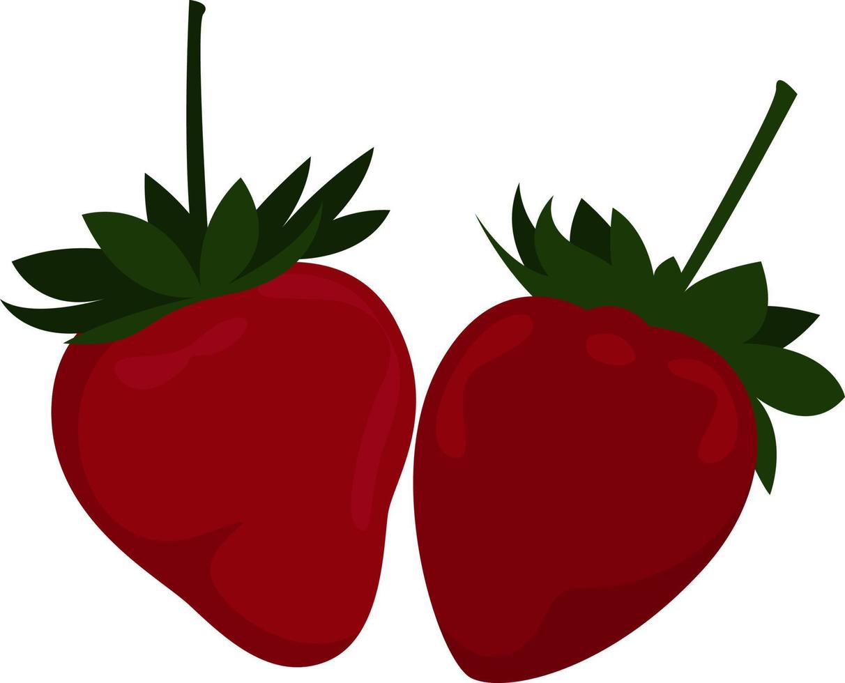 twee rood aardbeien, illustratie, vector Aan een wit achtergrond.