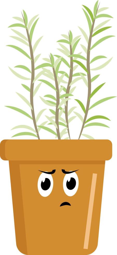 rozemarijn in pot, illustratie, vector Aan wit achtergrond.