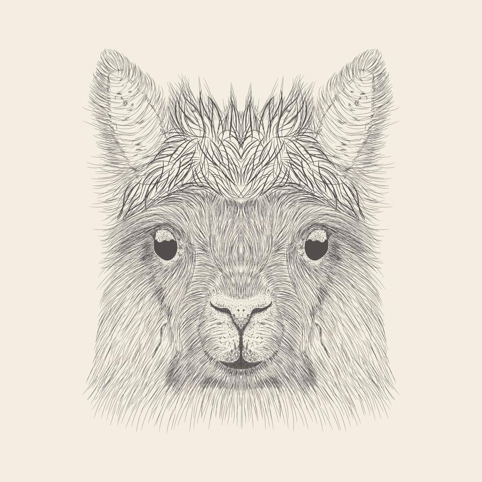 modieus alpaca concept vector