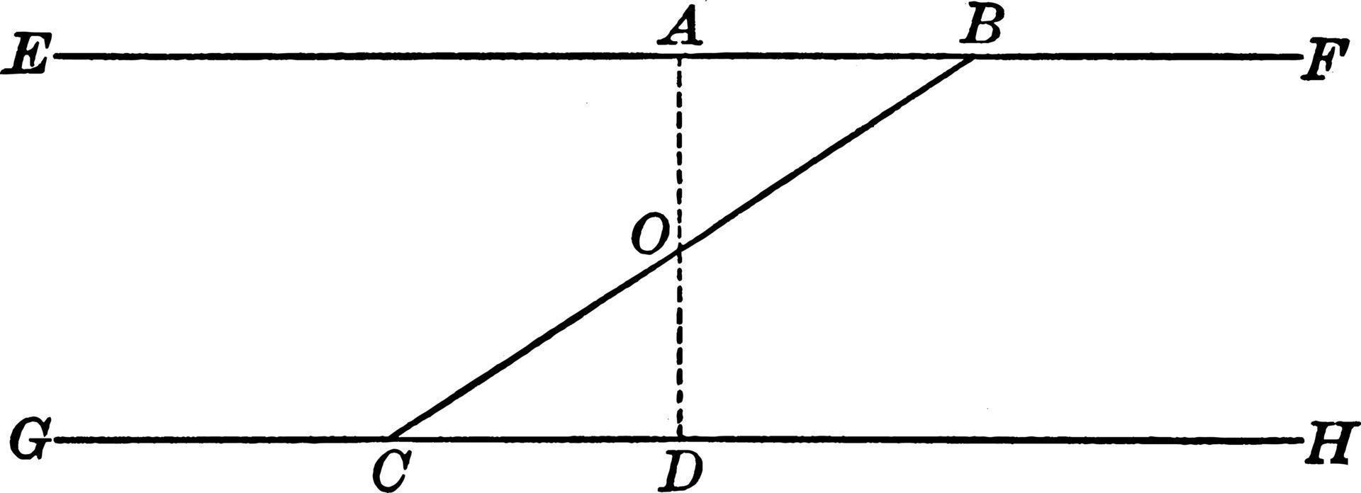 twee parallel lijnen, wijnoogst illustratie. vector