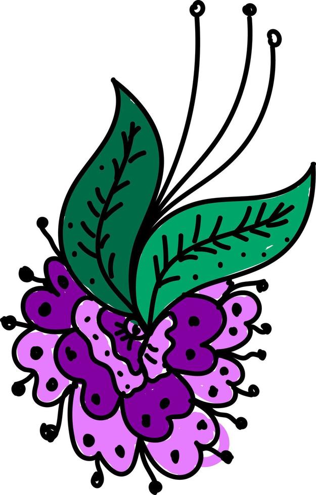Purper bloemen, illustratie, vector Aan wit achtergrond.
