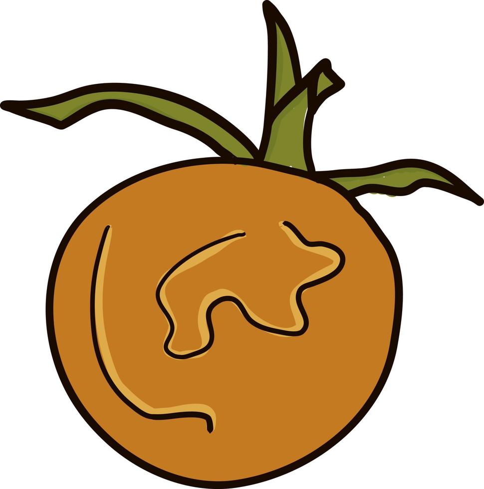 oranje tomaat tekening, illustratie, vector Aan wit achtergrond.