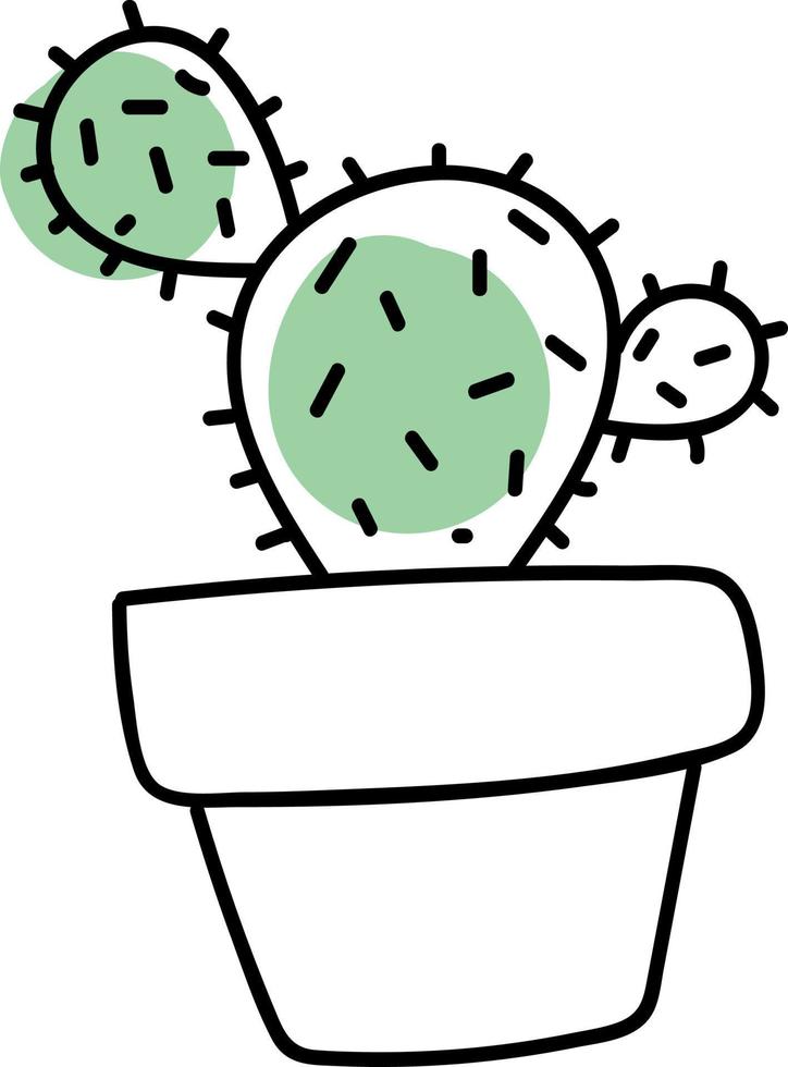 drie ronde schattig cactussen, illustratie, vector Aan wit achtergrond.