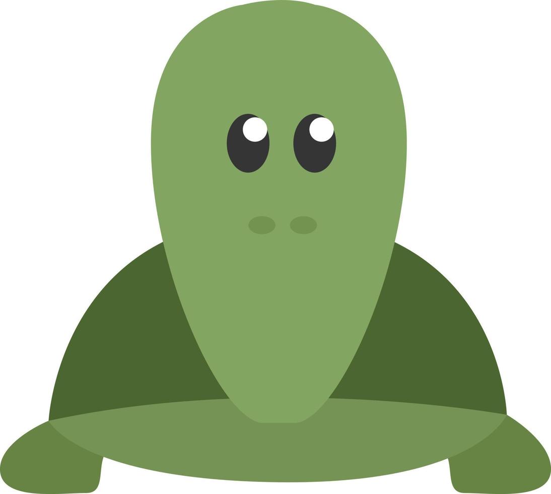 groen schildpad, illustratie, vector, Aan een wit achtergrond. vector