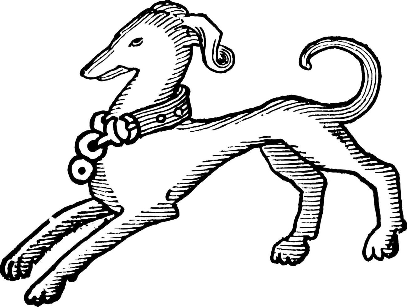 hond, wijnoogst illustratie. vector