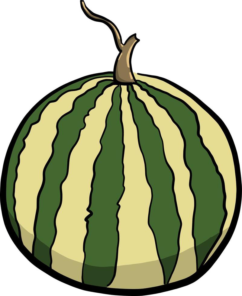 groot watermeloen , illustratie, vector Aan wit achtergrond