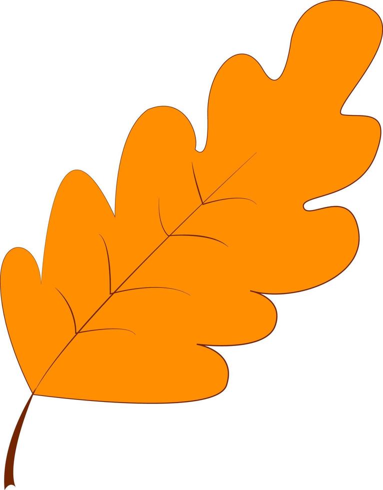 oranje blad, illustratie, vector Aan wit achtergrond.