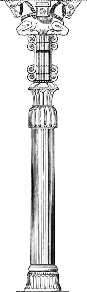 hersteld hoofdstad van de ruïnes van persepolis, wijnoogst illustratie. vector