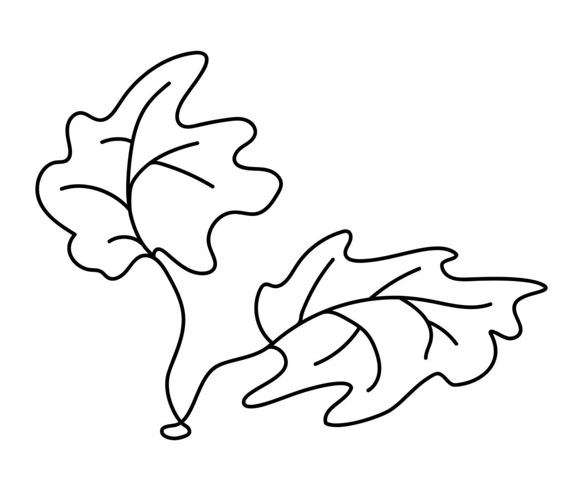 hand- getrokken brunch met bladeren. tekening vector illustratie.