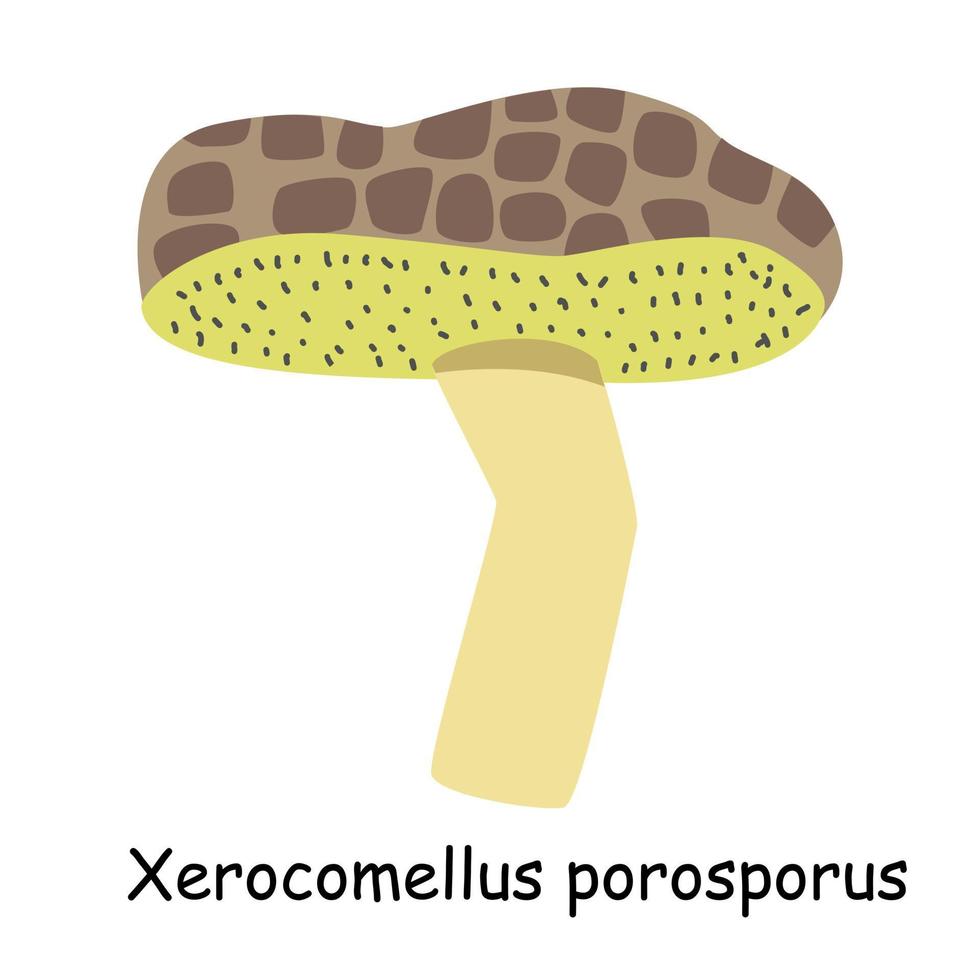 vlak vea vlak vector van een eetbaar paddestoel geïsoleerd Aan een wit background.ctor van shiitake paddestoel geïsoleerd Aan wit achtergrond.