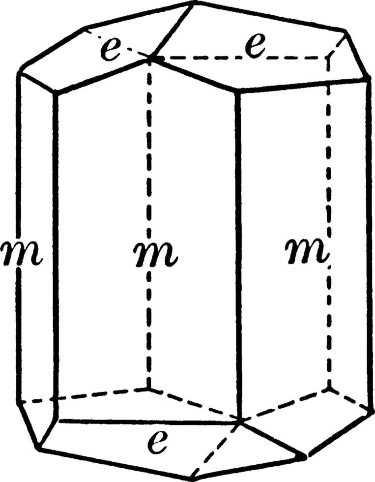 calciet, wijnoogst illustratie. vector