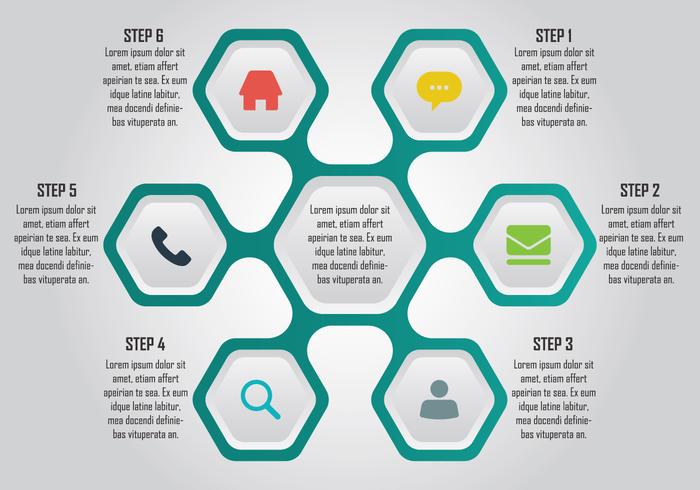 Zeshoek Infographic Element vector