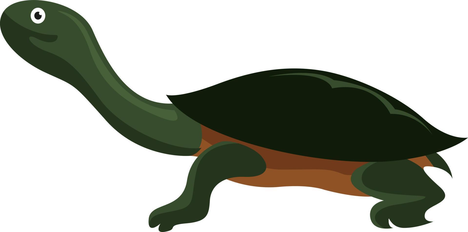 lang nek schildpad, illustratie, vector Aan wit achtergrond