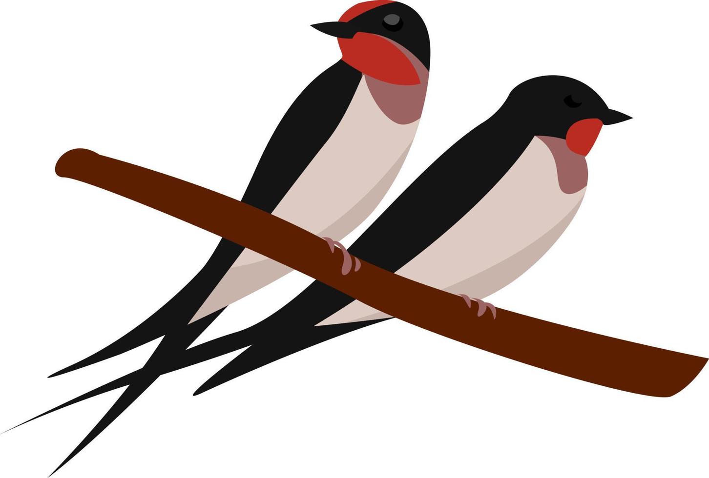 zwaluwen Aan een tak, illustratie, vector Aan wit achtergrond