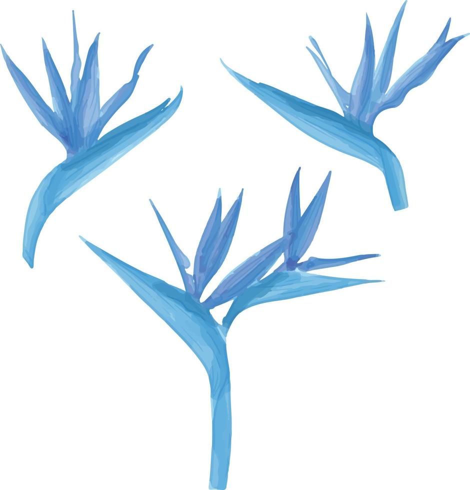 reeks van waterverf bloem, blauw flora clip art vector