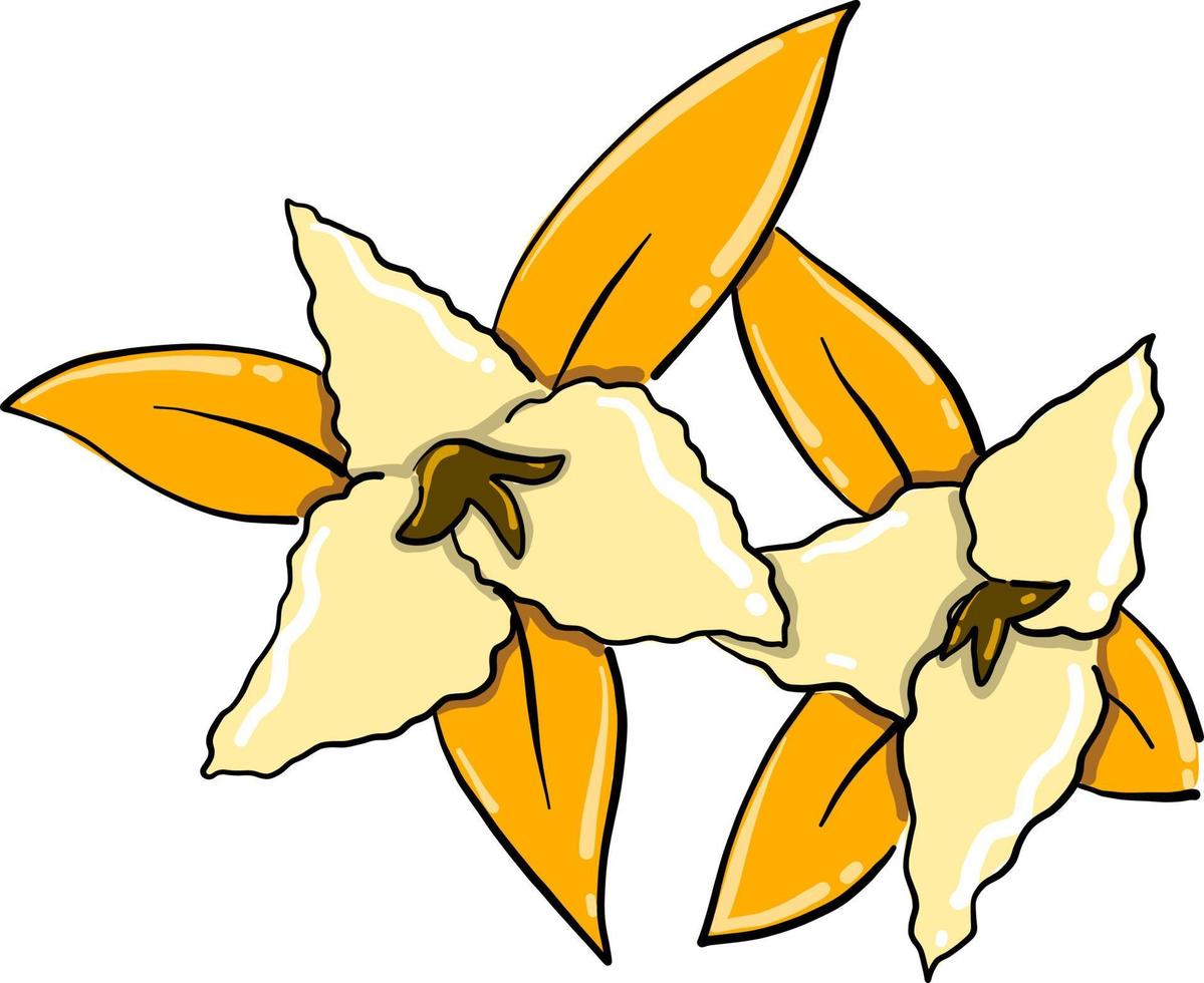 twee bloemen, illustratie, vector Aan wit achtergrond