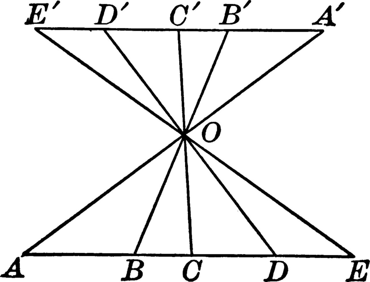 parallel lijnen besnoeiing door transversalen, wijnoogst illustratie. vector