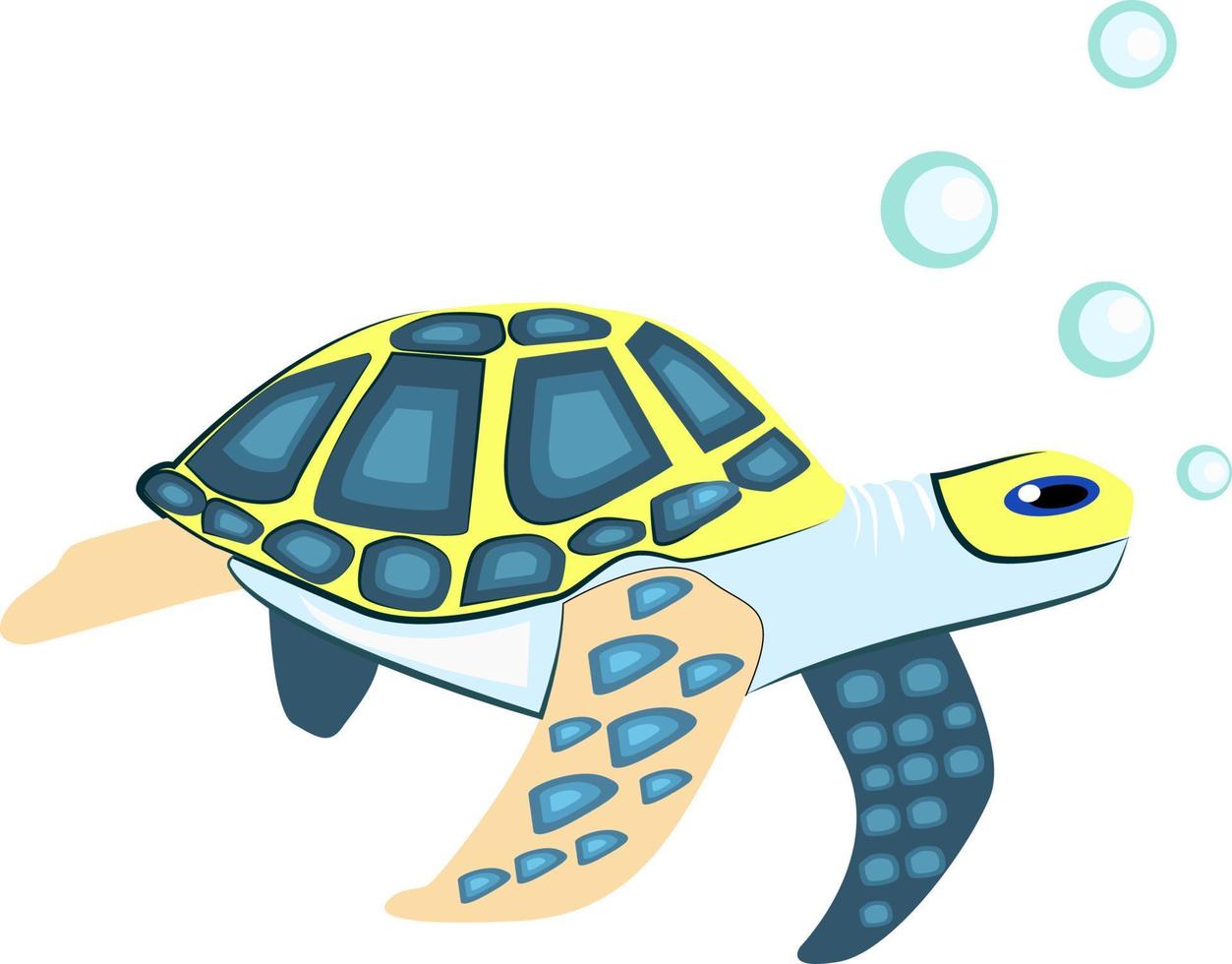 schildpad, illustratie, vector Aan wit achtergrond.