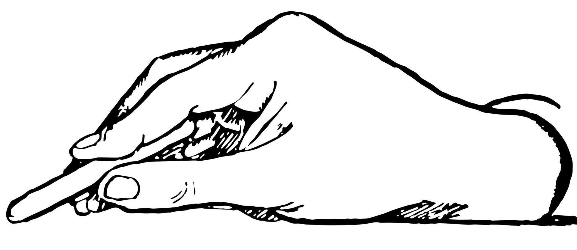 hand- tekening met krijt, wijnoogst gravure. vector