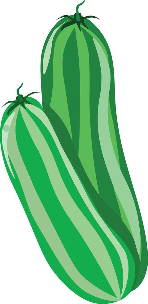 komkommers, illustratie, vector Aan wit achtergrond.