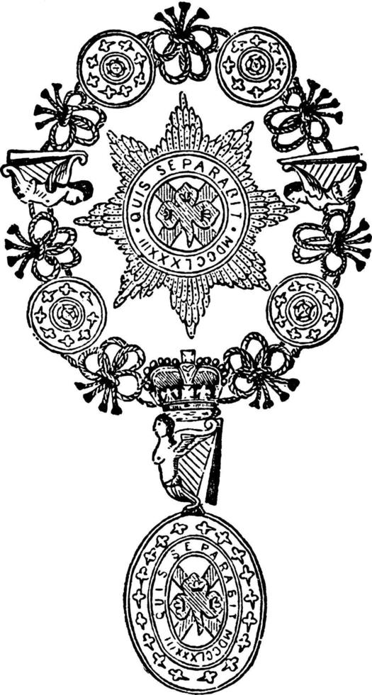 insigne van de bestellen van st. patrick, wijnoogst illustratie. vector