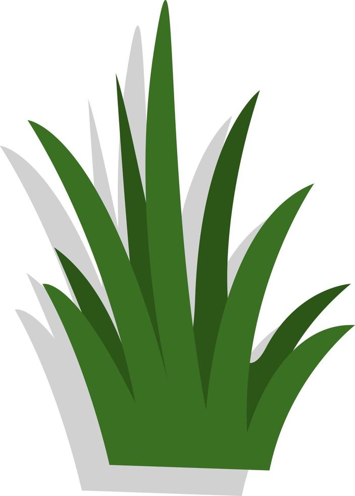 groen gras, illustratie, vector, Aan een wit achtergrond. vector