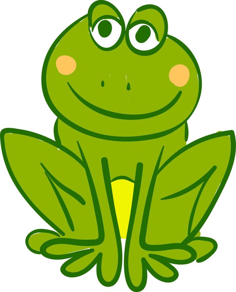 een groen kikker, vector of kleur illustratie.