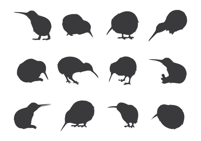 Kiwi Bird Silhouettes vector